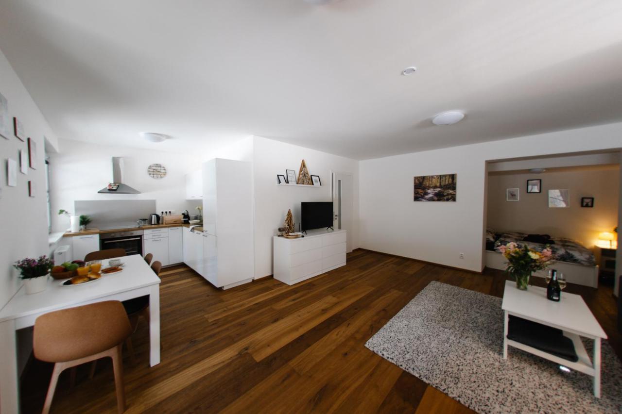 Apartman S Nadhernym Vyhledem V Centru Harrachova Dış mekan fotoğraf
