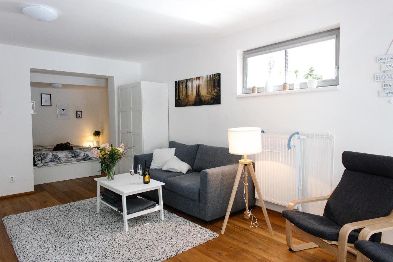 Apartman S Nadhernym Vyhledem V Centru Harrachova Dış mekan fotoğraf