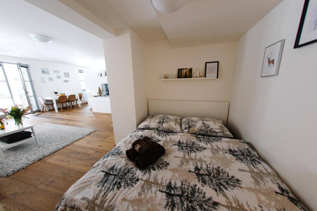 Apartman S Nadhernym Vyhledem V Centru Harrachova Dış mekan fotoğraf